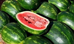 吃瓜娱乐照片图片,吃瓜照片背后的故事