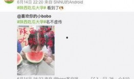 娱乐吃瓜酱大学,大学生活中的趣味瞬间